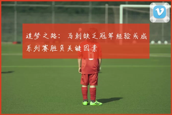 追梦之路:马刺缺乏冠军经验或成系列赛胜负关键因素