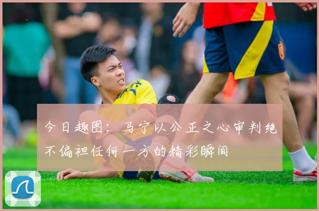 今日趣图：马宁以公正之心审判绝不偏袒任何一方的精彩瞬间