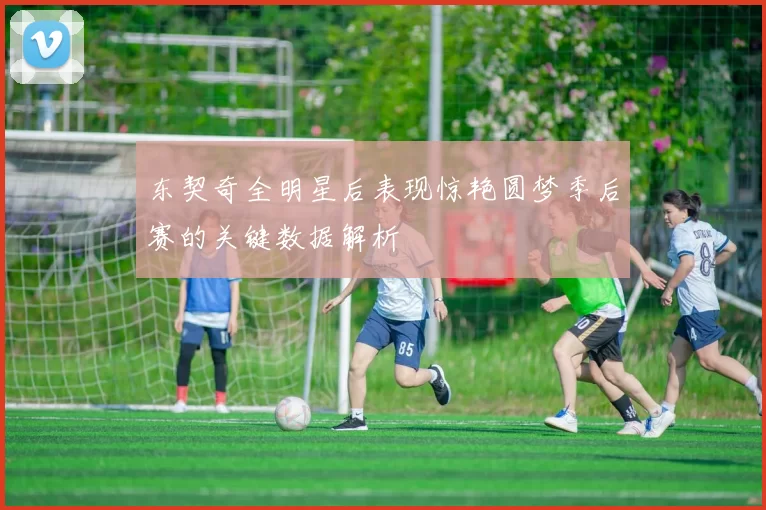 东契奇全明星后表现惊艳圆梦季后赛的关键数据解析